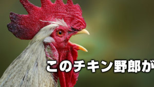 このチキン野郎が