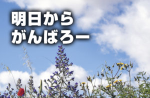 明日からがんばろー