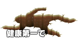 健康第一で