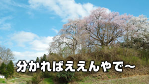 分かればええんやで〜