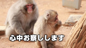 心中お察しします