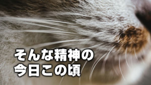 そんな精神の今日この頃
