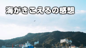 海がきこえるの感想