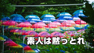 素人は黙っとれ