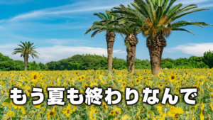 もう夏も終わりなんで