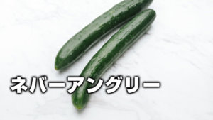 ネバーアングリー