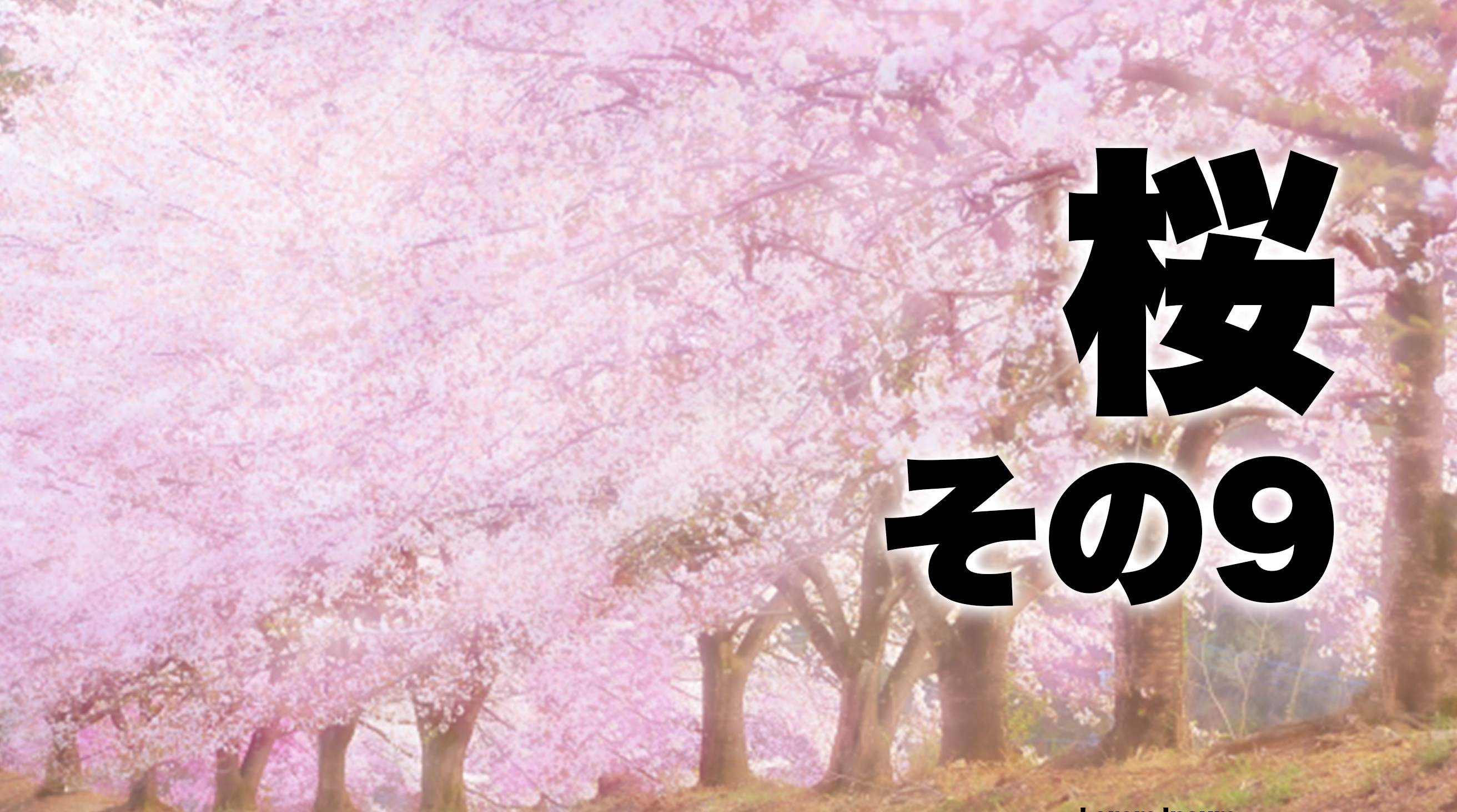 シャイボーイ&ガールズ ステレオタイプのザレゴト