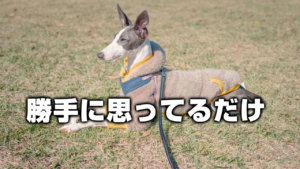 勝手に思ってるだけ