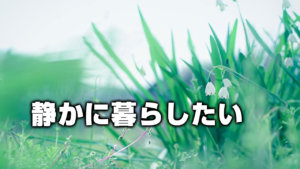 静かに暮らしたい