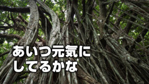 あいつ元気にしてるかな